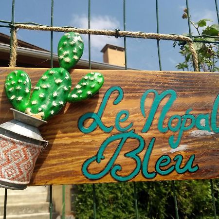 Le Nopal Bleu Apartment Tarascon-sur-Ariege Bagian luar foto