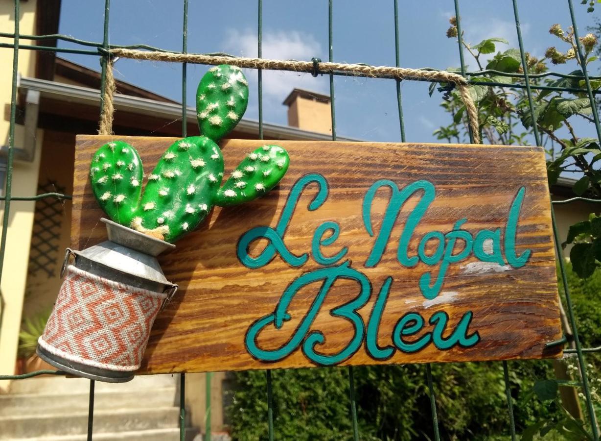 Le Nopal Bleu Apartment Tarascon-sur-Ariege Bagian luar foto