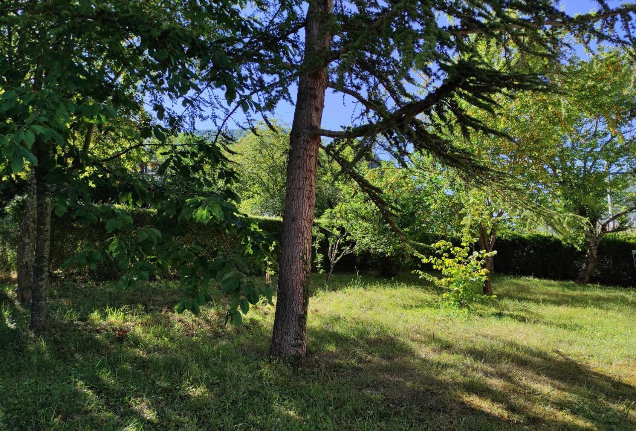 Le Nopal Bleu Apartment Tarascon-sur-Ariege Bagian luar foto
